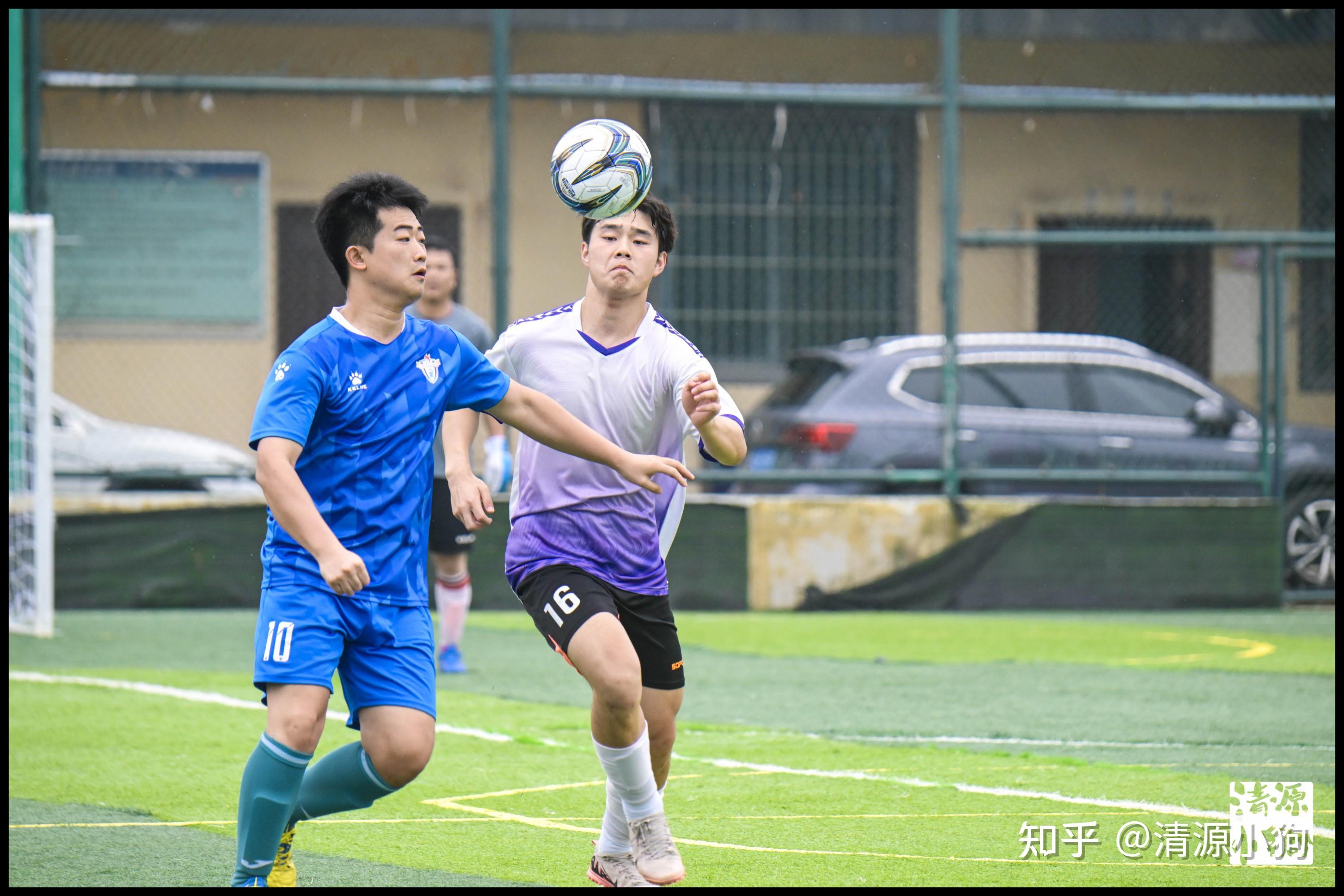 队整体赢下 队整体赢下